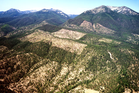 Elkhorn Mountain timber heravest of the 1990s